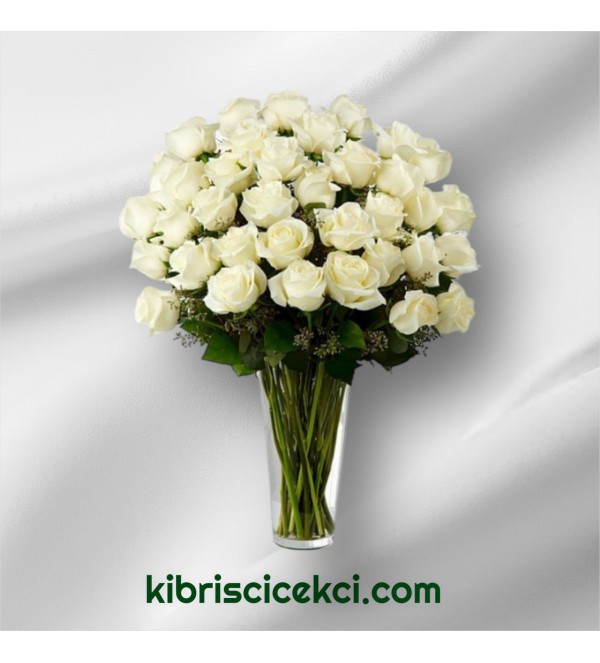 Vazoda 41 Beyaz Gül Vazoda 41 Beyaz Gül